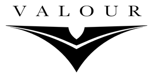 Valour Logo