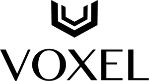 Voxel Logo