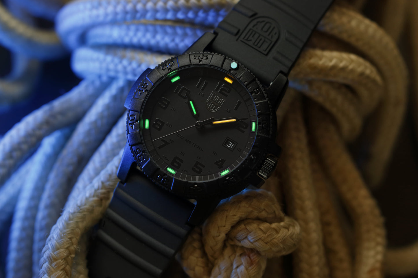 Luminox Leatherback Sea Turtle Giant 0321.BO.L