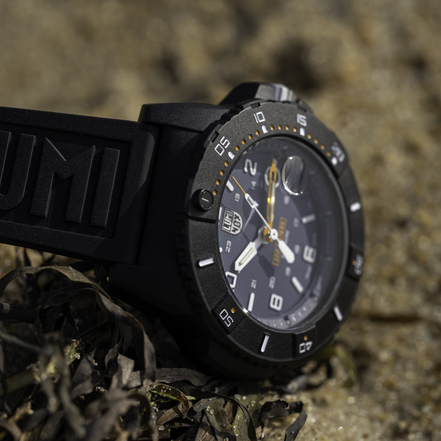 Luminox Navy SEAL 3602.NSF