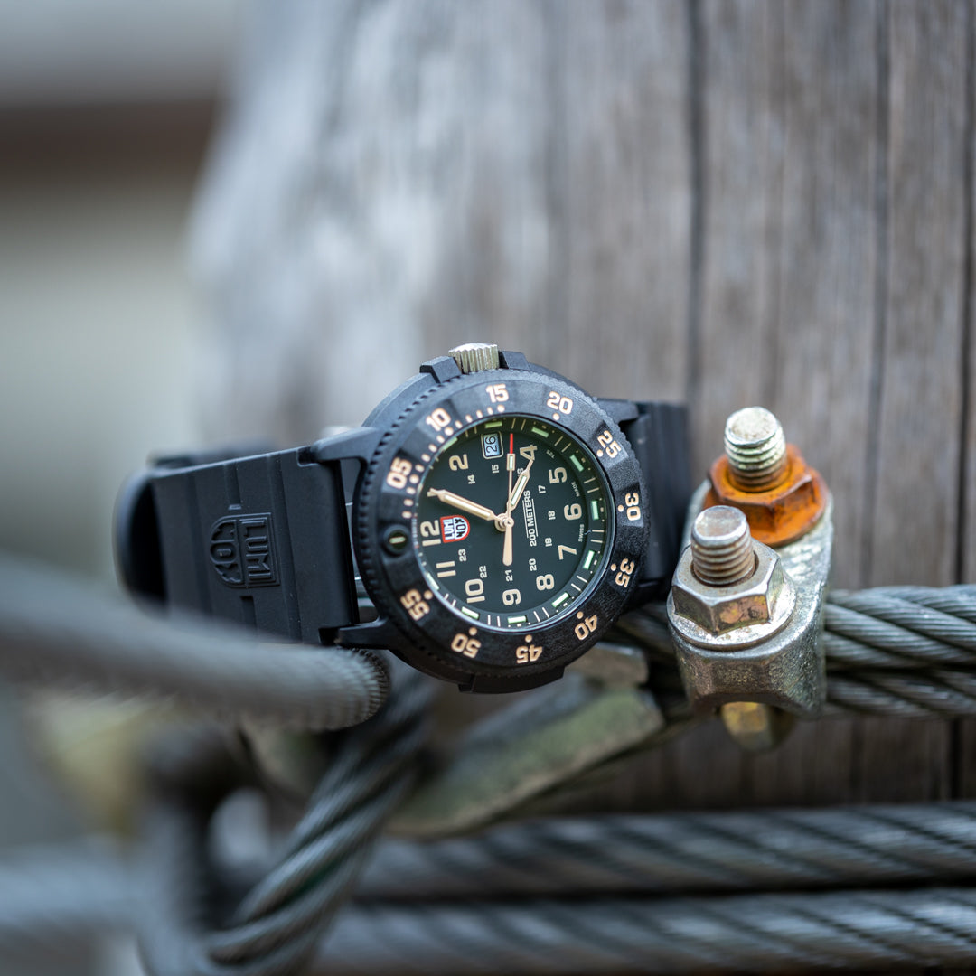 Luminox Navy SEAL 3001.EVO.OR.S